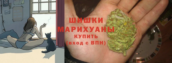 амф Белокуриха
