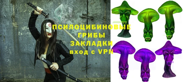 гашик Беломорск