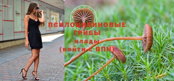 бошки Белоозёрский
