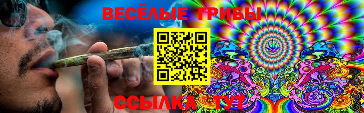 Верхний Уфалей  где купить наркоту  Вход с VPN  Галлюциногенные грибы мицелий 