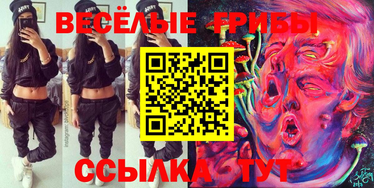 Псилоцибиновые грибы Psilocybe Верхний Уфалей